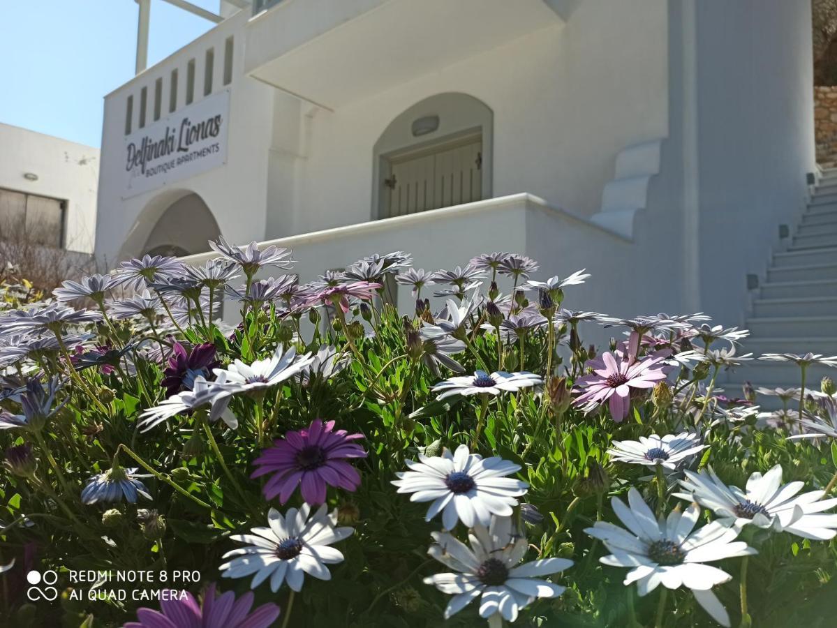Villa Delfinaki Lionas Buitenkant foto