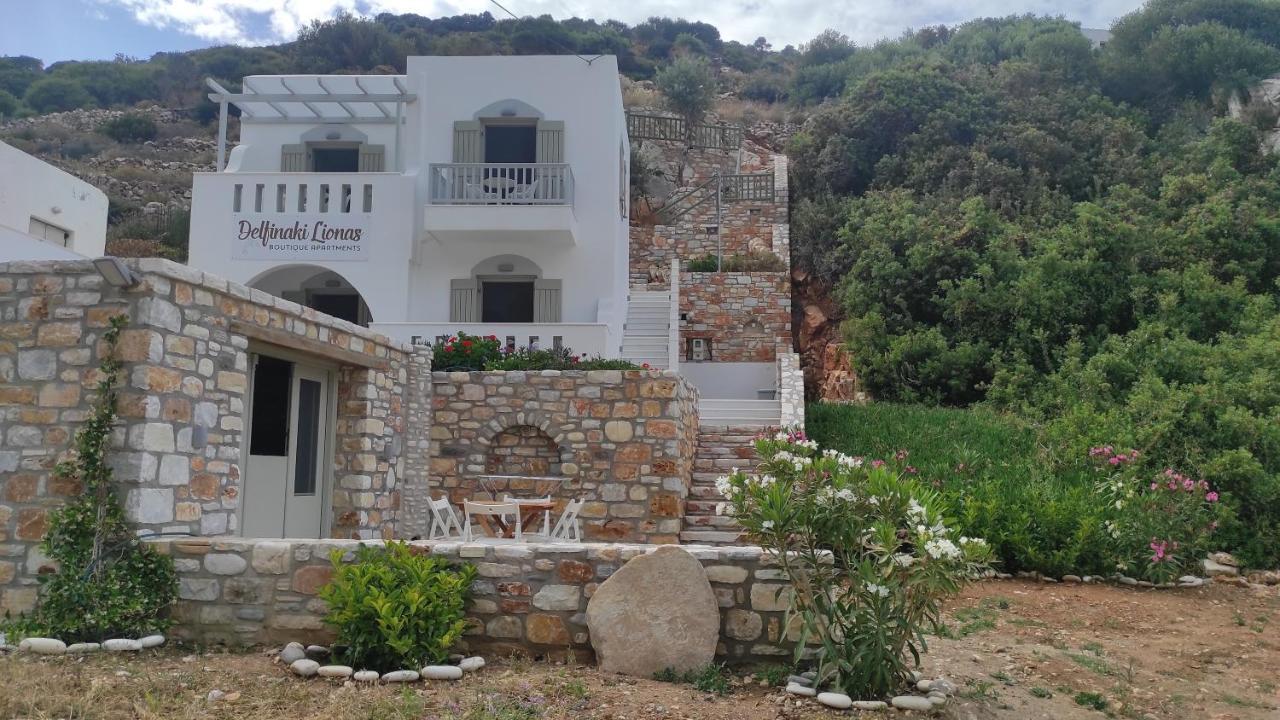 Villa Delfinaki Lionas Buitenkant foto